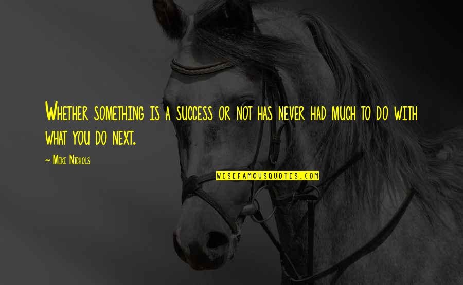 Much Success Quotes By Mike Nichols: Whether something is a success or not has