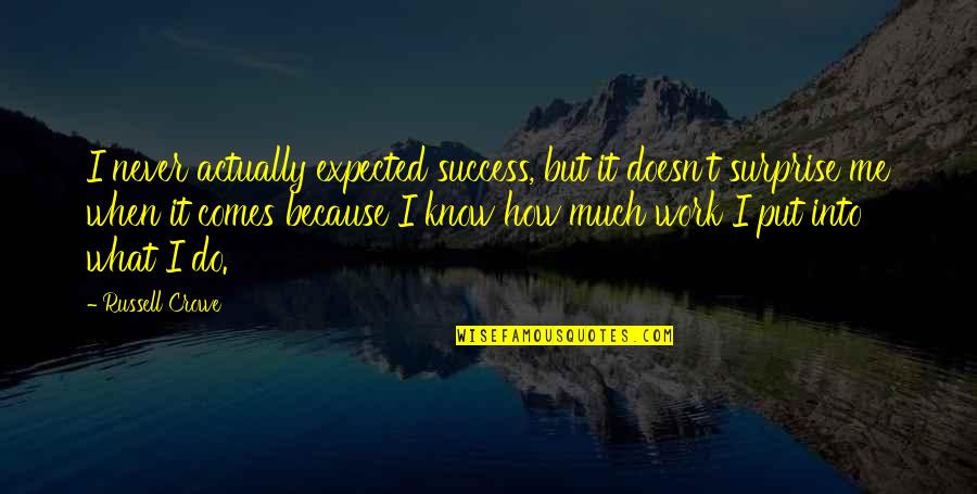 Much Success Quotes By Russell Crowe: I never actually expected success, but it doesn't