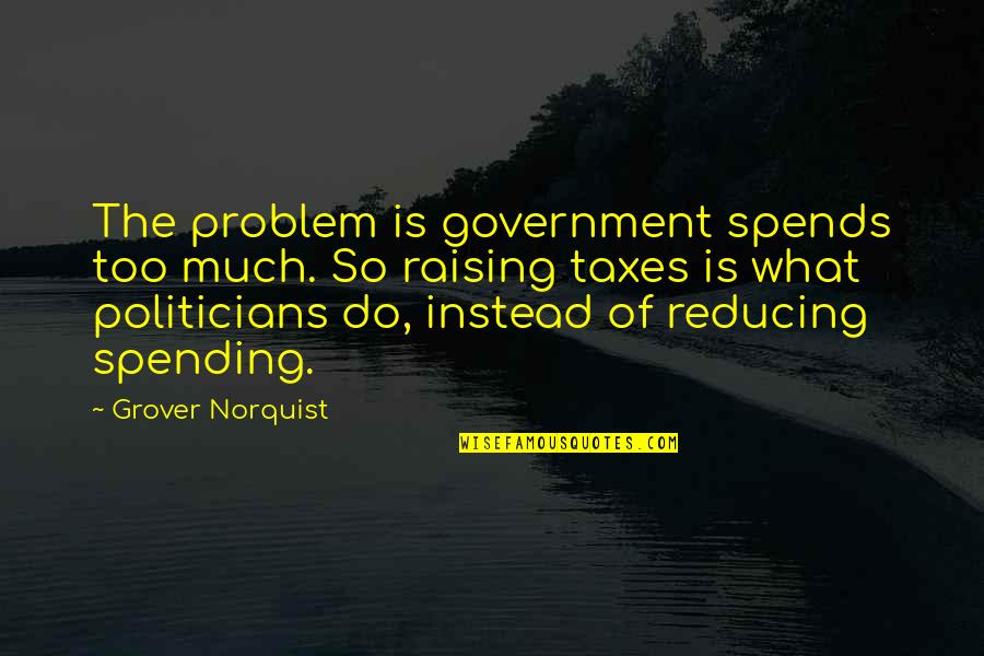 Much What Quotes By Grover Norquist: The problem is government spends too much. So