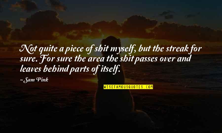 Muchmore Associates Quotes By Sam Pink: Not quite a piece of shit myself, but Muchmore Associates Quotes By Sam Pink: Not quite a piece of shit myself, but