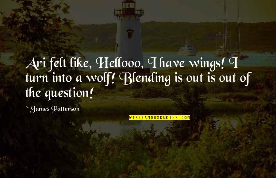Muchmore Fan Quotes By James Patterson: Ari felt like, Hellooo, I have wings! I Muchmore Fan Quotes By James Patterson: Ari felt like, Hellooo, I have wings! I