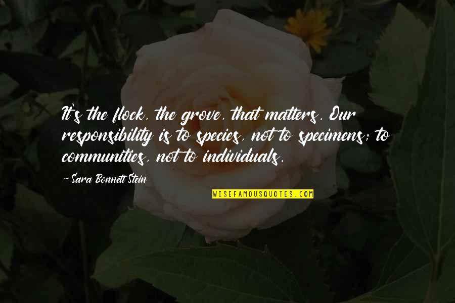 Mud Holes In Lawn Quotes By Sara Bonnett Stein: It's the flock, the grove, that matters. Our Mud Holes In Lawn Quotes By Sara Bonnett Stein: It's the flock, the grove, that matters. Our