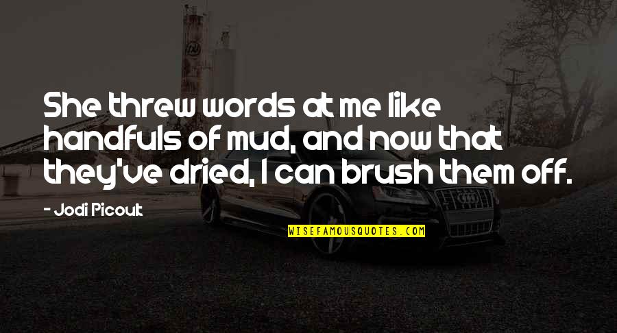 Mud Off Quotes By Jodi Picoult: She threw words at me like handfuls of