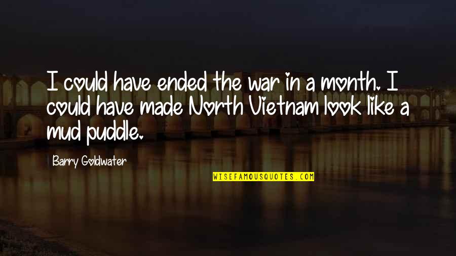 Mud Puddle Quotes By Barry Goldwater: I could have ended the war in a