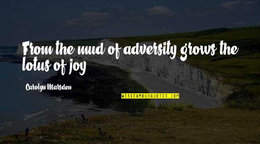 Mud Quotes By Carolyn Marsden: From the mud of adversity grows the lotus