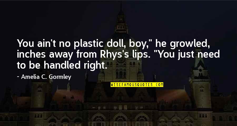 Mudanya Nerede Quotes By Amelia C. Gormley: You ain't no plastic doll, boy," he growled,