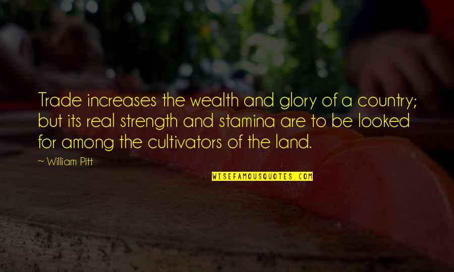 Mudbone Movie Quotes By William Pitt: Trade increases the wealth and glory of a Mudbone Movie Quotes By William Pitt: Trade increases the wealth and glory of a