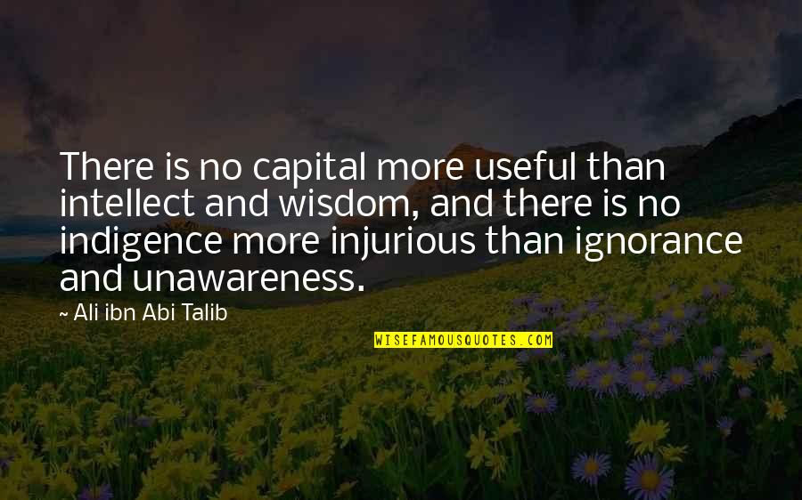Mudded Cotton Quotes By Ali Ibn Abi Talib: There is no capital more useful than intellect