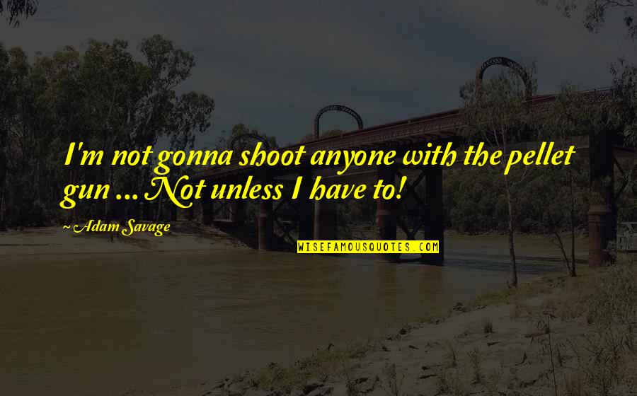 Mudded Out Brown Quotes By Adam Savage: I'm not gonna shoot anyone with the pellet
