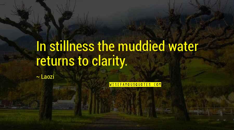Muddied Quotes By Laozi: In stillness the muddied water returns to clarity.