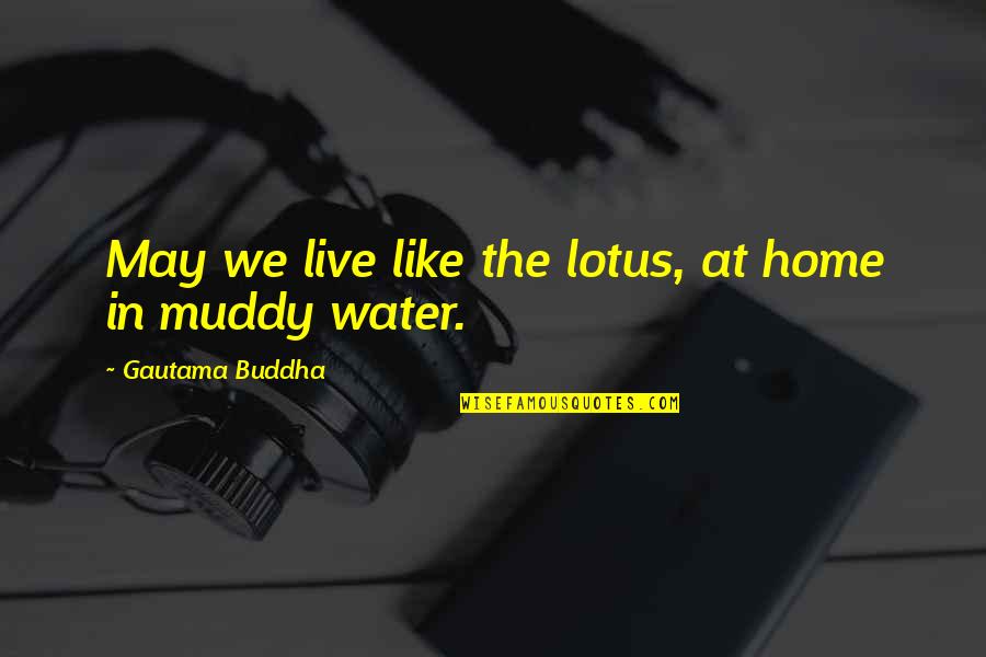 Muddy Quotes By Gautama Buddha: May we live like the lotus, at home