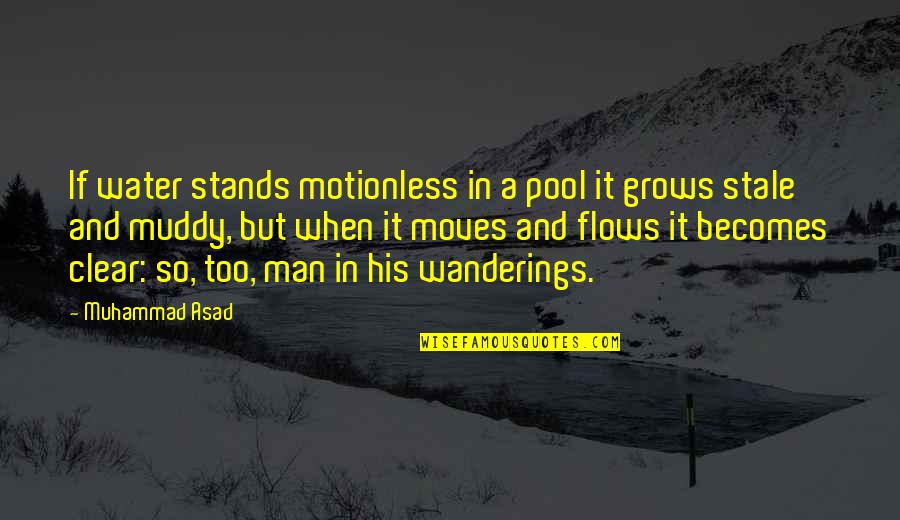 Muddy Quotes By Muhammad Asad: If water stands motionless in a pool it Muddy Quotes By Muhammad Asad: If water stands motionless in a pool it