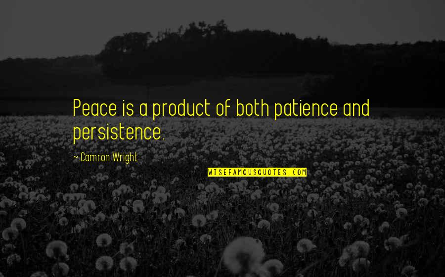Mudflats Galena Quotes By Camron Wright: Peace is a product of both patience and