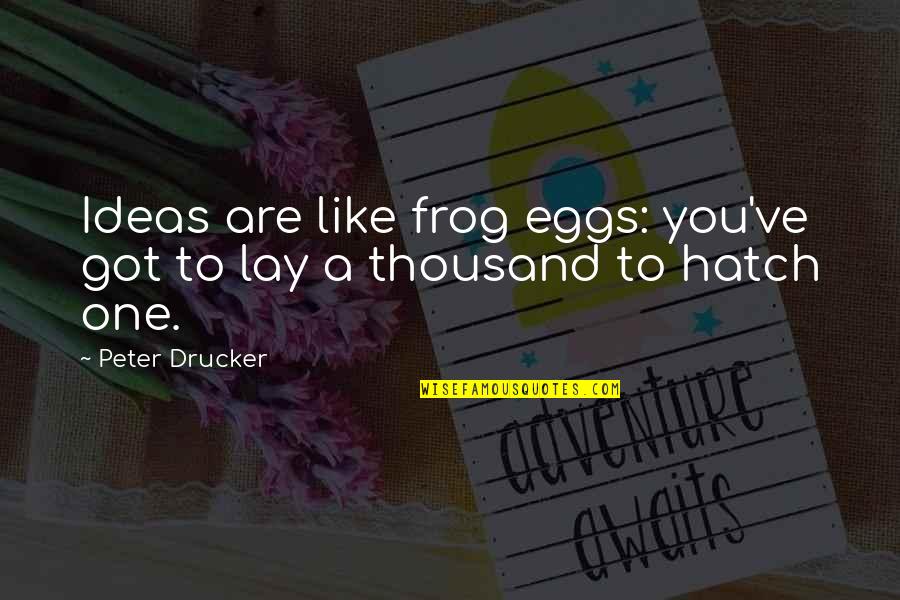Mudie Dogs Quotes By Peter Drucker: Ideas are like frog eggs: you've got to