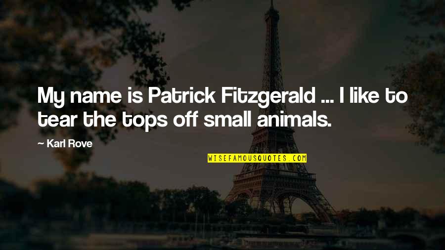 Mudila Lasteaed Quotes By Karl Rove: My name is Patrick Fitzgerald ... I like