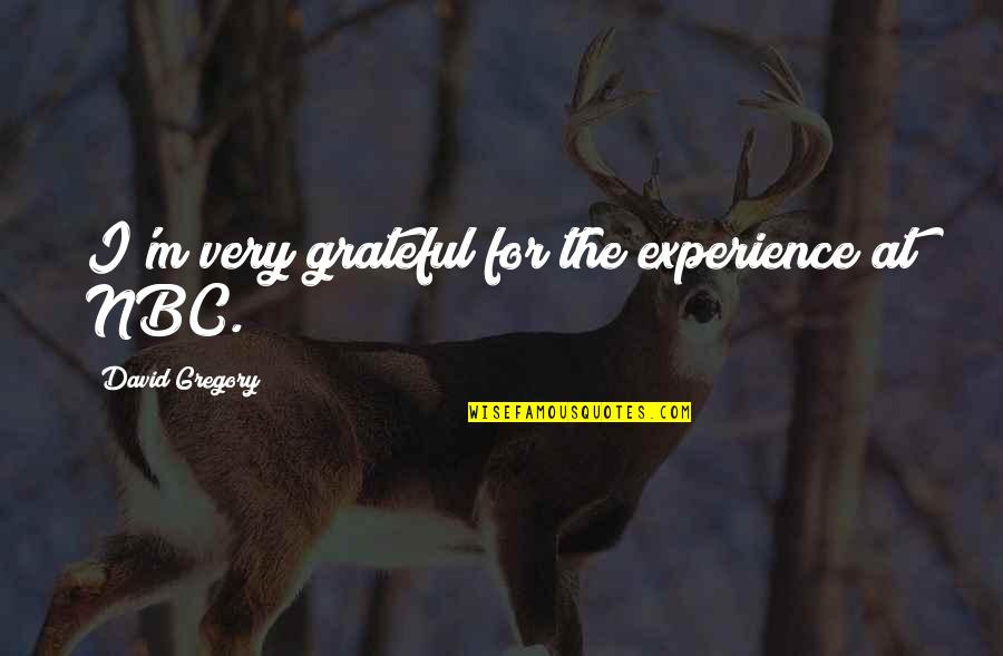 Muerdo Semillas Quotes By David Gregory: I'm very grateful for the experience at NBC.