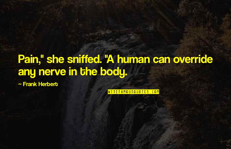 Mueve La Quotes By Frank Herbert: Pain," she sniffed. "A human can override any Mueve La Quotes By Frank Herbert: Pain," she sniffed. "A human can override any