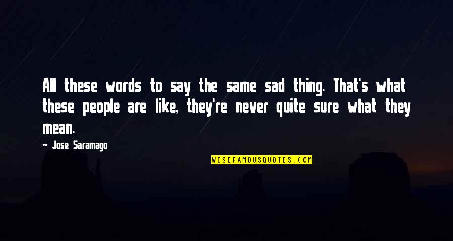 Mugabe Memorable Quotes By Jose Saramago: All these words to say the same sad