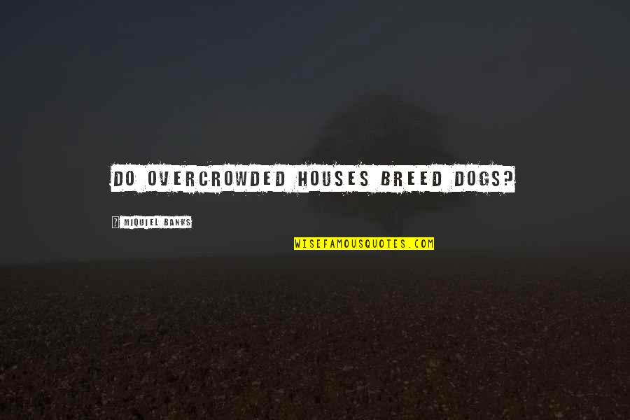 Mugavero Mt Quotes By Miquiel Banks: Do overcrowded houses breed dogs?