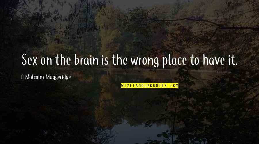 Muggeridge Quotes By Malcolm Muggeridge: Sex on the brain is the wrong place
