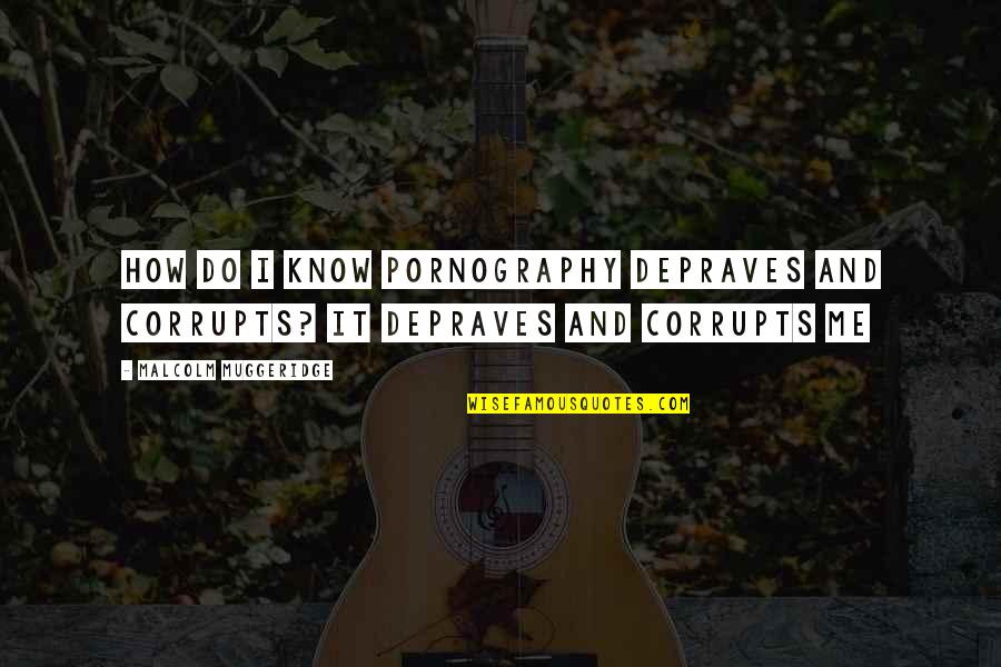 Muggeridge Quotes By Malcolm Muggeridge: How do I know pornography depraves and corrupts?