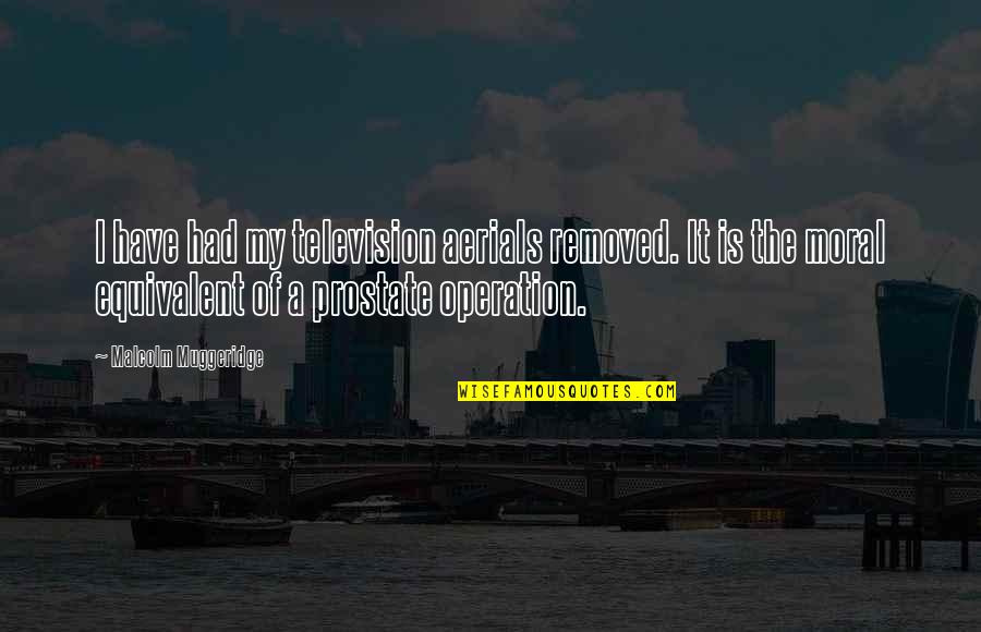 Muggeridge Quotes By Malcolm Muggeridge: I have had my television aerials removed. It