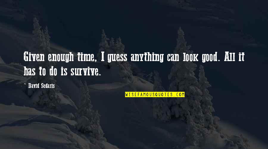 Mugs Quote Quotes By David Sedaris: Given enough time, I guess anything can look