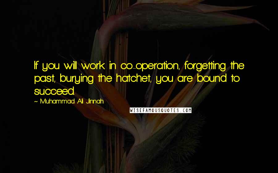 Muhammad Ali Jinnah quotes: If you will work in co-operation, forgetting the past, burying the hatchet, you are bound to succeed.