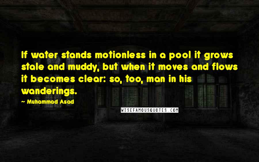 Muhammad Asad quotes: If water stands motionless in a pool it grows stale and muddy, but when it moves and flows it becomes clear: so, too, man in his wanderings.