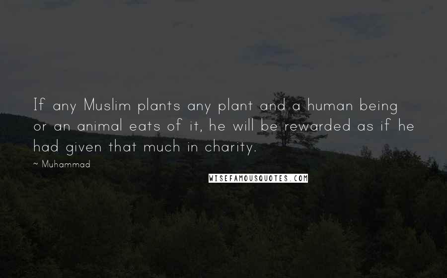 Muhammad quotes: If any Muslim plants any plant and a human being or an animal eats of it, he will be rewarded as if he had given that much in charity. Muhammad quotes: If any Muslim plants any plant and a human being or an animal eats of it, he will be rewarded as if he had given that much in charity.