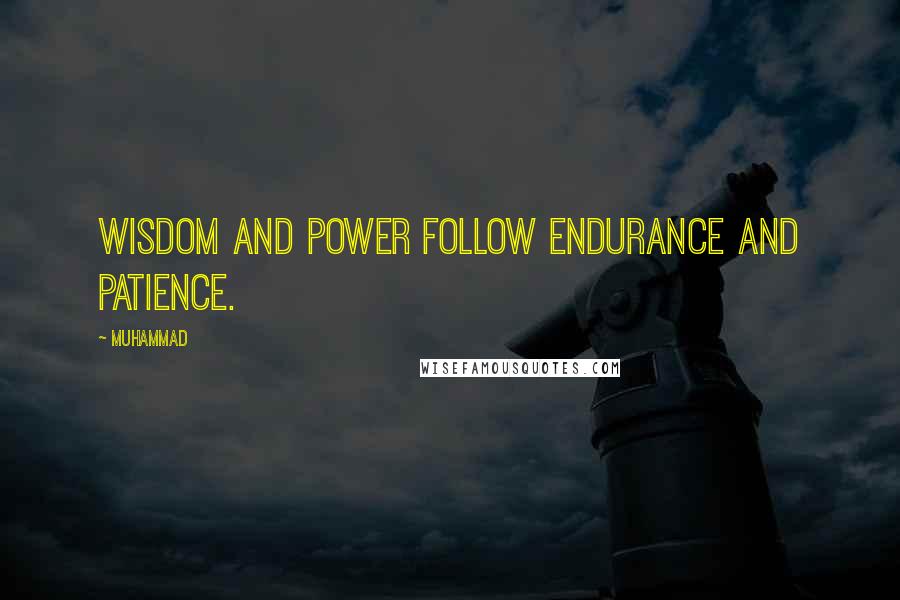 Muhammad quotes: Wisdom and power follow endurance and patience.