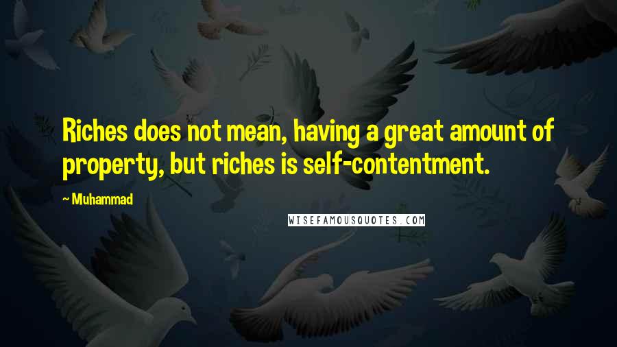 Muhammad quotes: Riches does not mean, having a great amount of property, but riches is self-contentment.