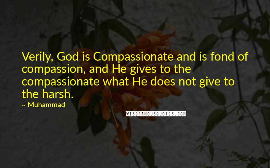 Muhammad quotes: Verily, God is Compassionate and is fond of compassion, and He gives to the compassionate what He does not give to the harsh.