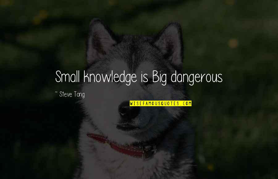 Muhammet Uzuner Quotes By Steve Tong: Small knowledge is Big dangerous Muhammet Uzuner Quotes By Steve Tong: Small knowledge is Big dangerous