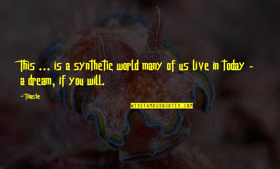 Muharram Ashura Quotes By Tinashe: This ... is a synthetic world many of