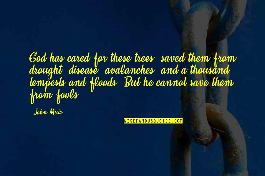 Muir John Quotes By John Muir: God has cared for these trees, saved them Muir John Quotes By John Muir: God has cared for these trees, saved them