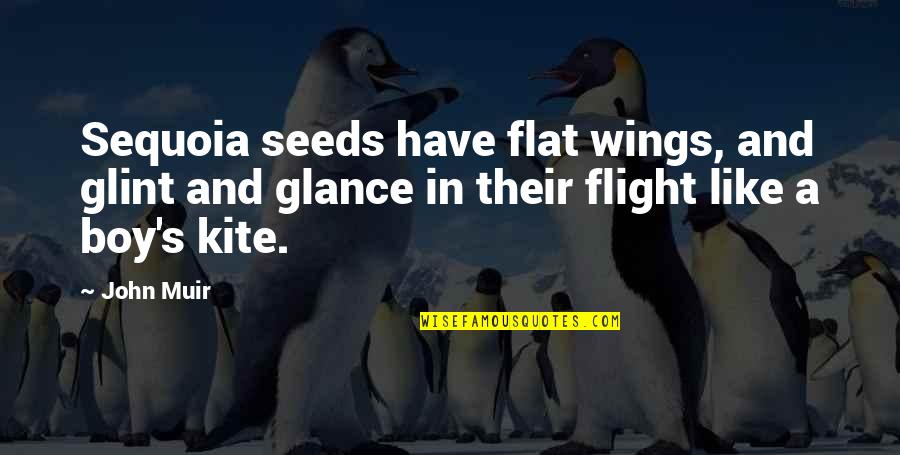 Muir John Quotes By John Muir: Sequoia seeds have flat wings, and glint and