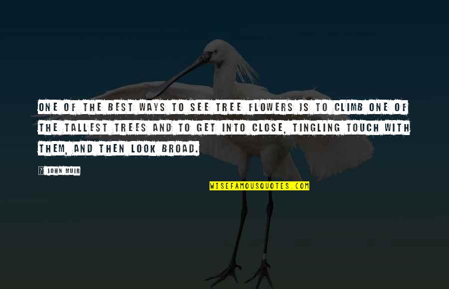 Muir John Quotes By John Muir: One of the best ways to see tree