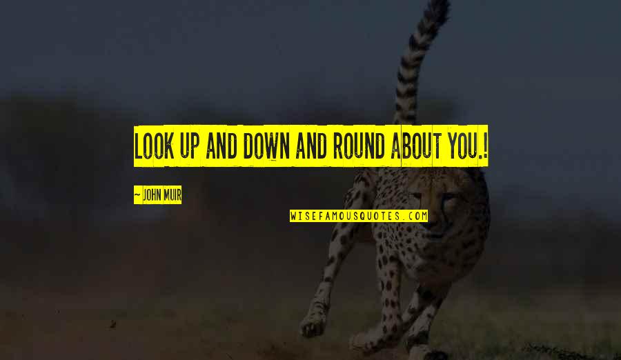 Muir John Quotes By John Muir: Look up and down and round about you.! Muir John Quotes By John Muir: Look up and down and round about you.!