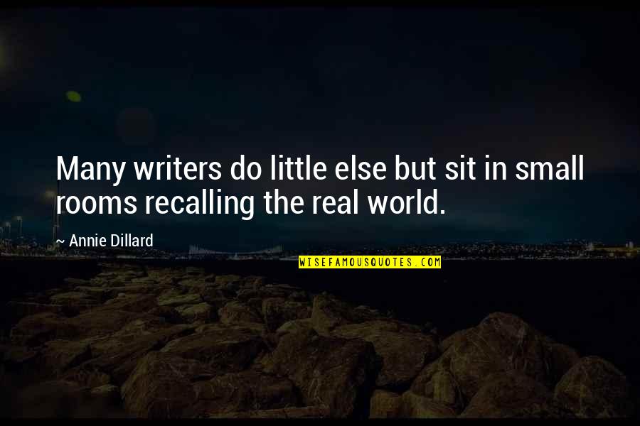 Mujeres Colombianas Quotes By Annie Dillard: Many writers do little else but sit in