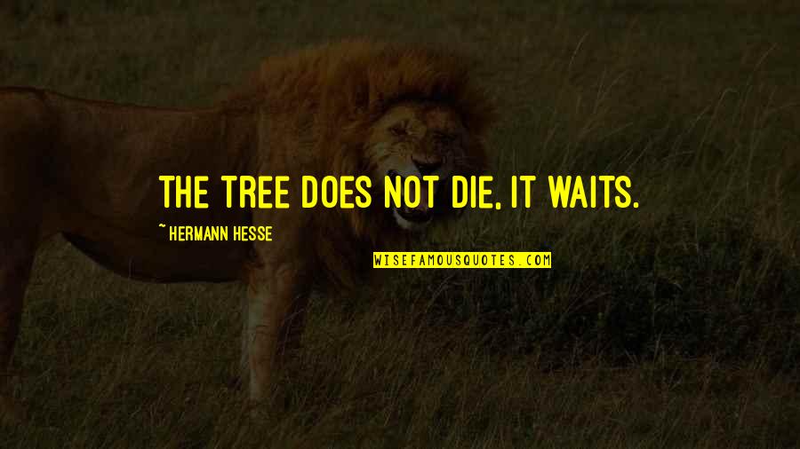 Mukaddes Er Quotes By Hermann Hesse: The tree does not die, it waits. Mukaddes Er Quotes By Hermann Hesse: The tree does not die, it waits.