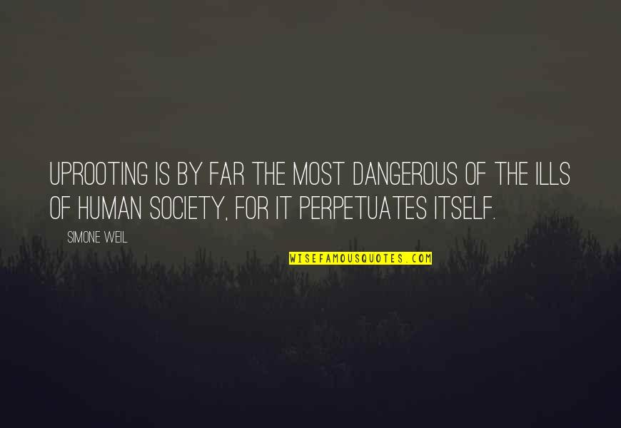 Mukerji Sugarland Quotes By Simone Weil: Uprooting is by far the most dangerous of