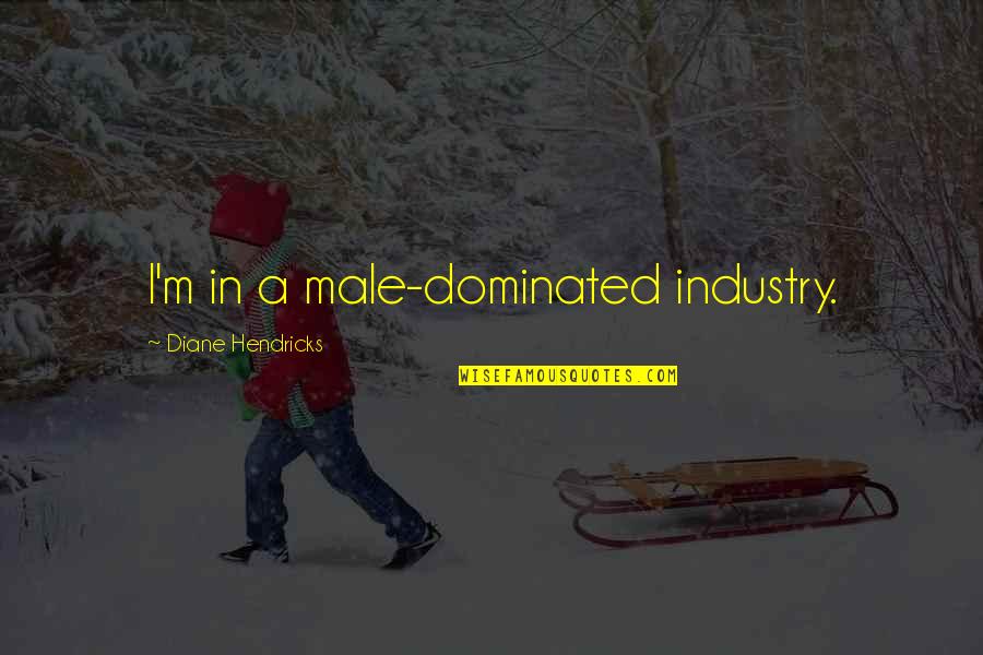 Mukluk Slippers Quotes By Diane Hendricks: I'm in a male-dominated industry.