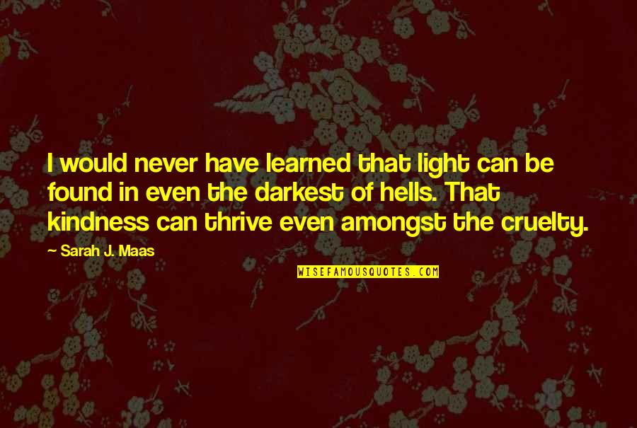 Mula Gang Memes Quotes By Sarah J. Maas: I would never have learned that light can