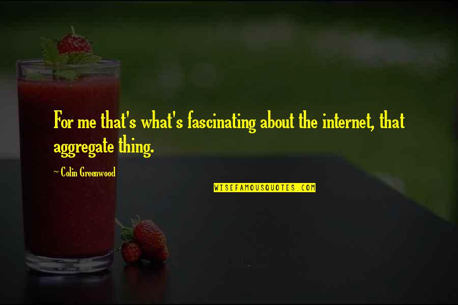 Mulder Scully Quotes By Colin Greenwood: For me that's what's fascinating about the internet,