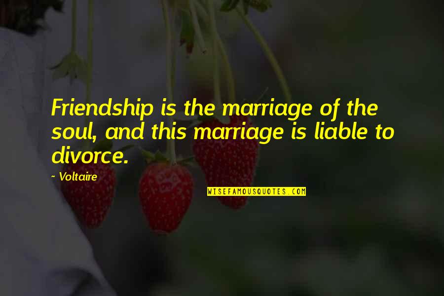 Mulheren Wall Quotes By Voltaire: Friendship is the marriage of the soul, and