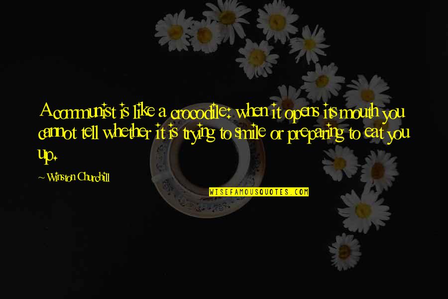 Mulhern Electric Quotes By Winston Churchill: A communist is like a crocodile: when it Mulhern Electric Quotes By Winston Churchill: A communist is like a crocodile: when it