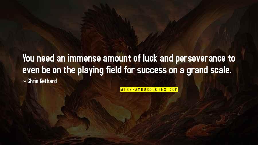 Mulimir Quotes By Chris Gethard: You need an immense amount of luck and