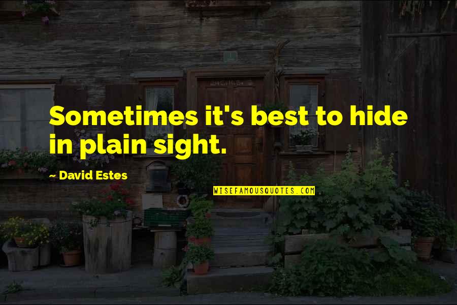 Mulimir Quotes By David Estes: Sometimes it's best to hide in plain sight.