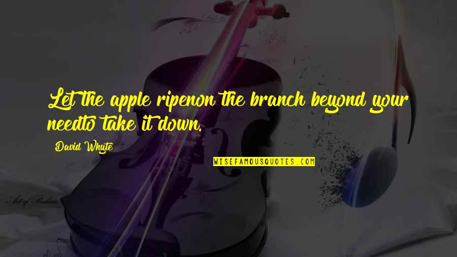 Mullainathan Quotes By David Whyte: Let the apple ripenon the branch beyond your